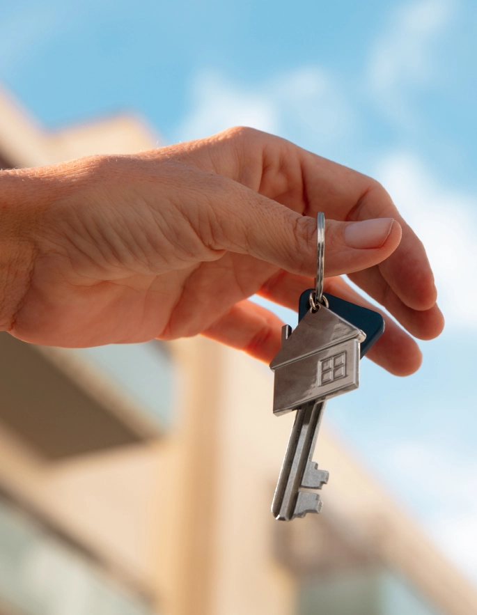 Conoce nuestros proyectos disponibles